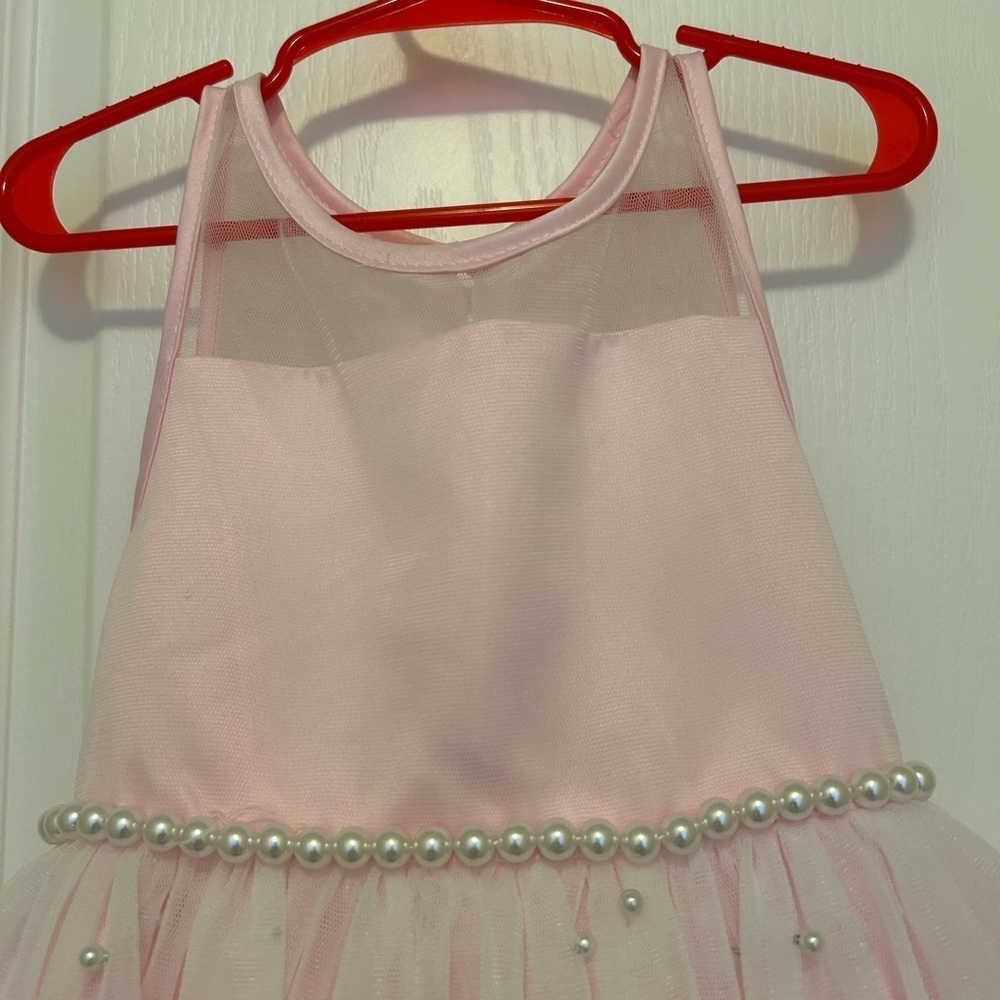 American Princess Pink Formal Dress - Picture 4 of 7
